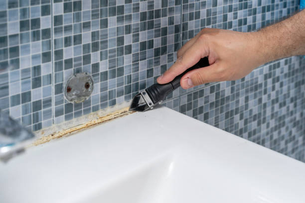 Reliable Wade, MS Mold Remediation Solutions