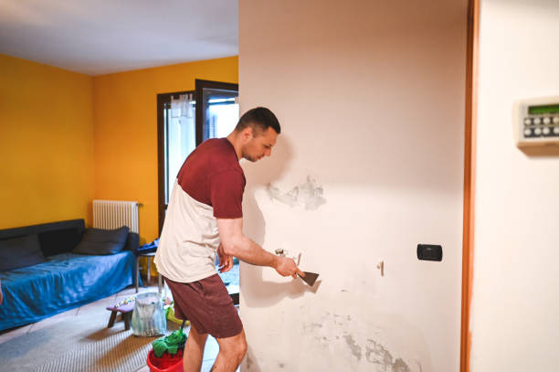 Best Health and Safety Mold Remediation in Wade, MS
